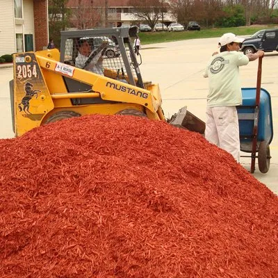 Top-rated yard cleanup service for beautiful yards across Greensboro, NC - AMC Group