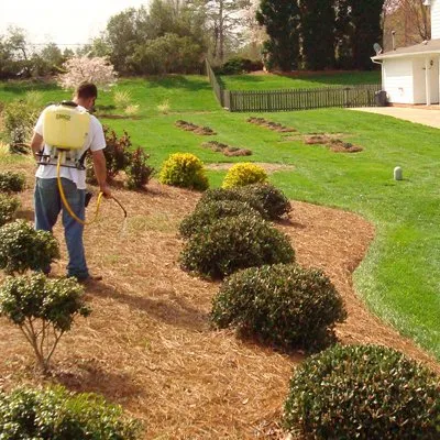 Affordable residential landscaping near you in Greensboro, NC by AMC Group