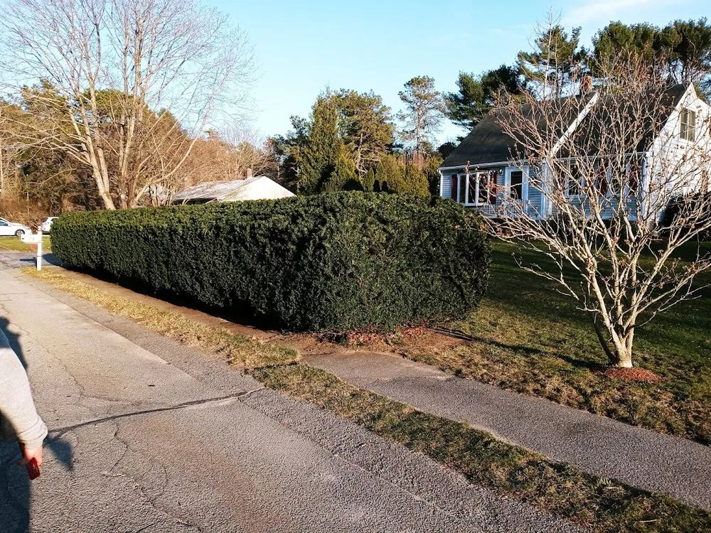 Local residential landscaping in Plymouth, MA by AMC landscape