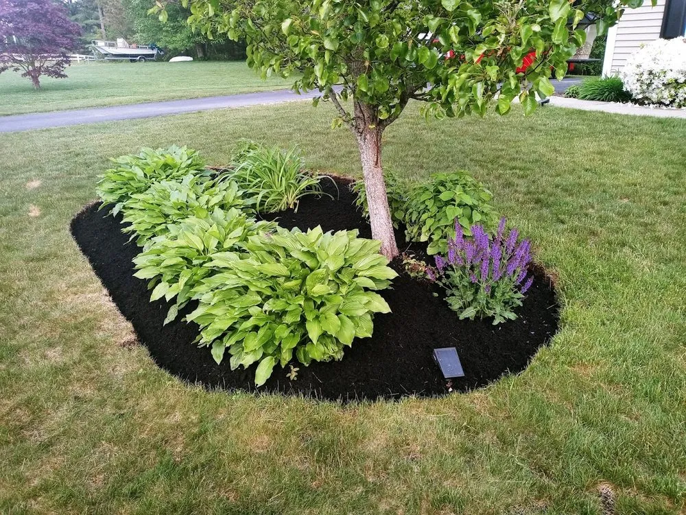 Expert yard maintenance for homes across Plymouth, MA - AMC landscape