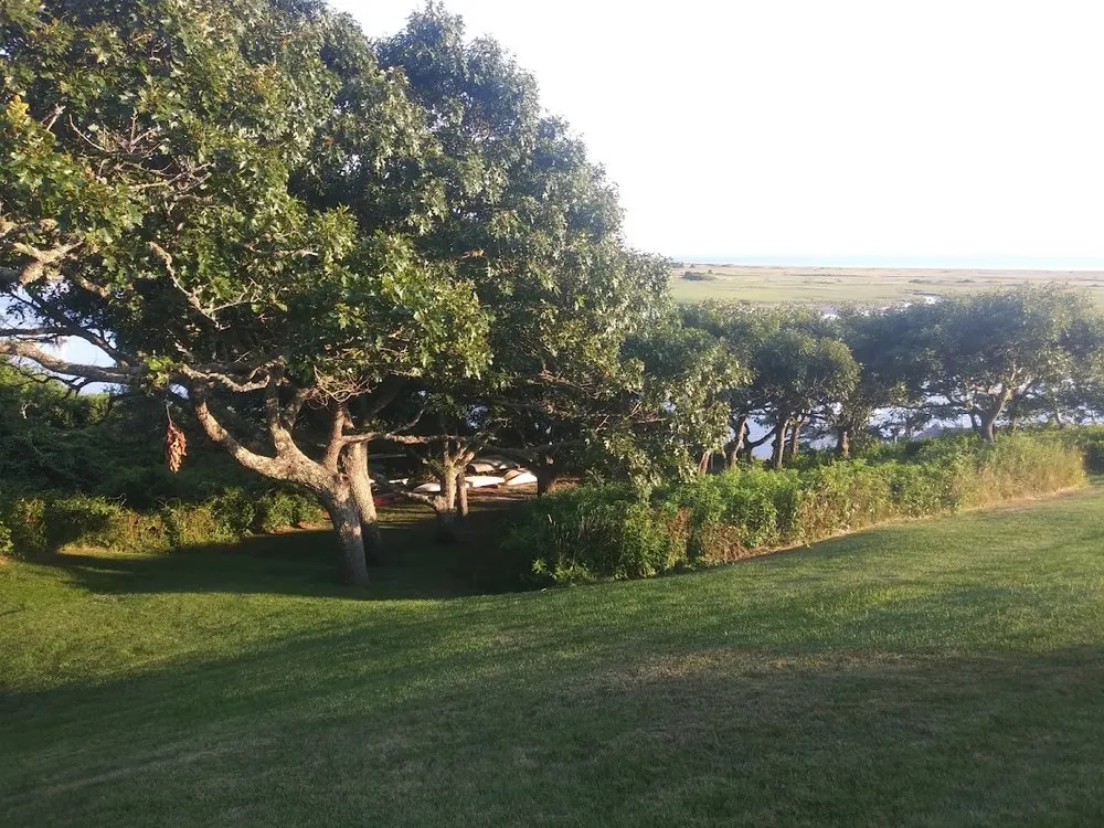 Professional landscaping services in Plymouth, MA by AMC landscape