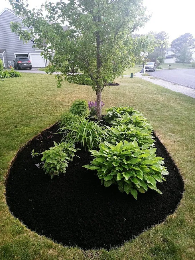 Top-rated lawn care service in Plymouth, MA - AMC landscape