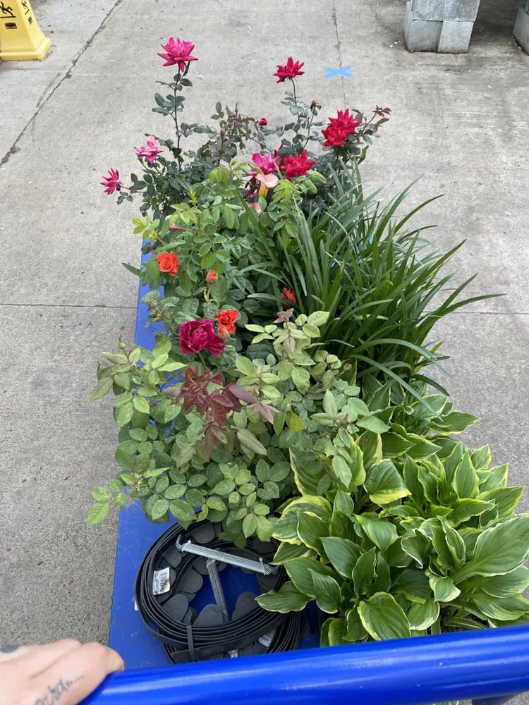 Top-rated outdoor landscaping in Lexington, NC - AMC Landscaping