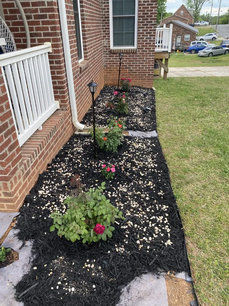 Professional residential landscaping for outdoor upgrades in Lexington, NC by AMC Landscaping