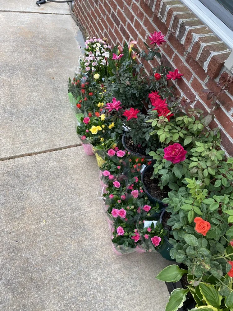 Top-rated yard maintenance for beautiful yards across Lexington, NC - AMC Landscaping