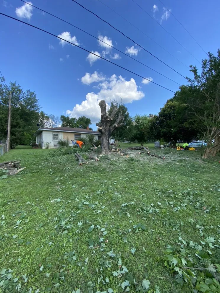 Top-rated residential landscaping in Lexington, NC by AMC Landscaping