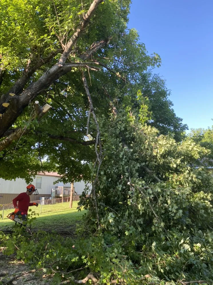 Affordable landscaping services for beautiful yards across Lexington, NC - AMC Landscaping