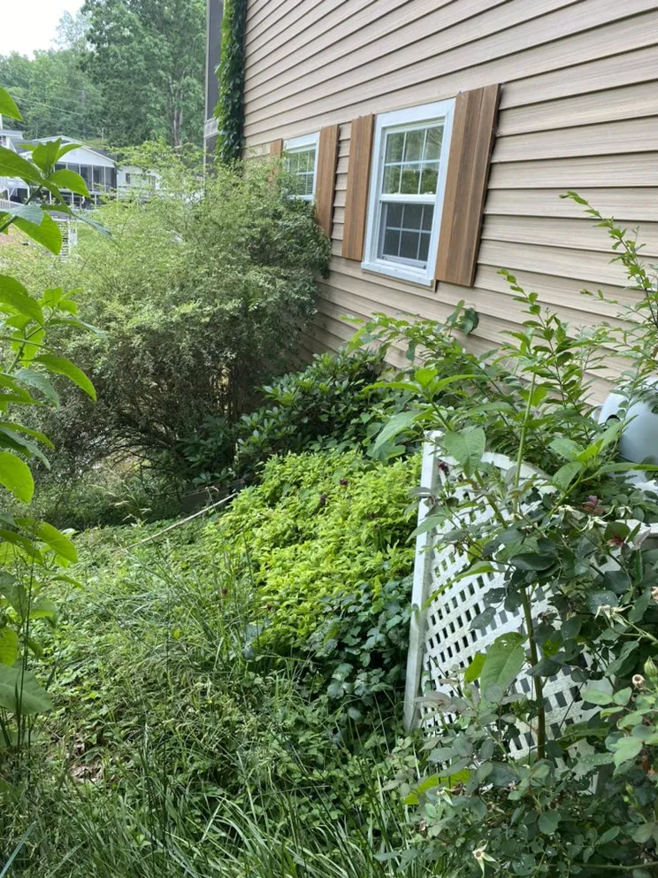 Local lawn mowing service experts serving Lexington, NC - AMC Landscaping