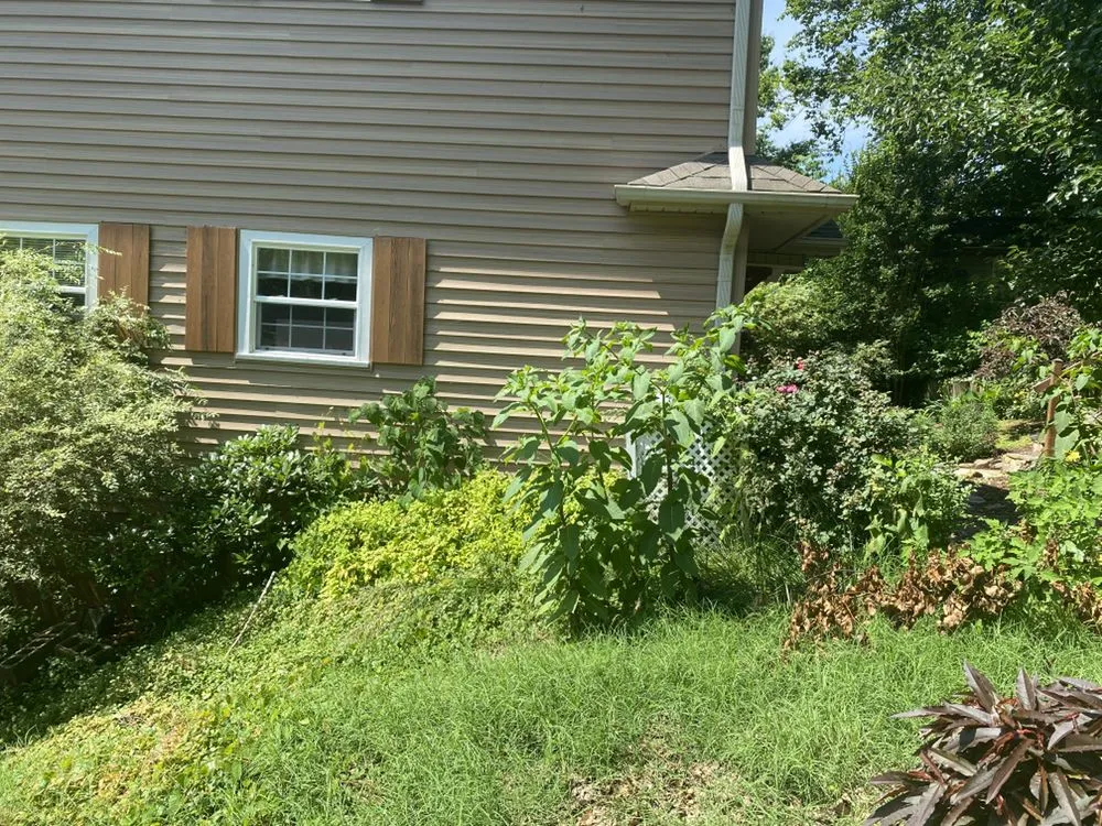 Reliable residential landscaping near you in Lexington, NC by AMC Landscaping