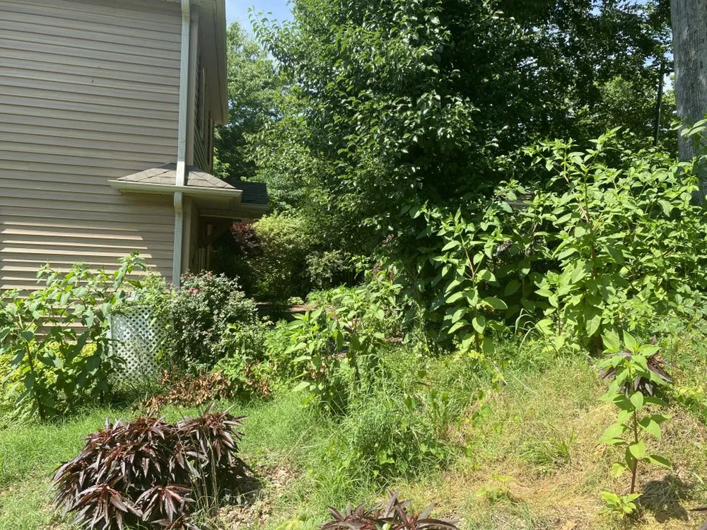 Expert landscape design in Lexington, NC - AMC Landscaping