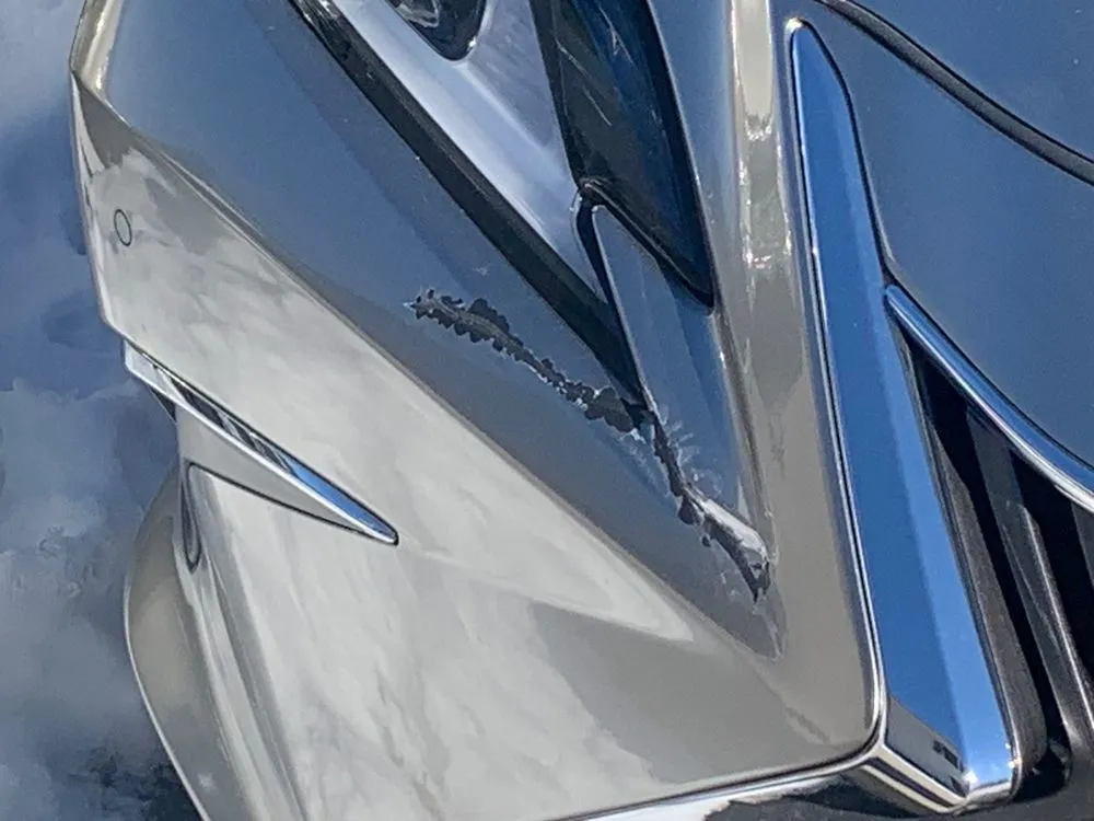 Expert residential landscaping in Souderton, PA by AMC Nursery & Landscaping