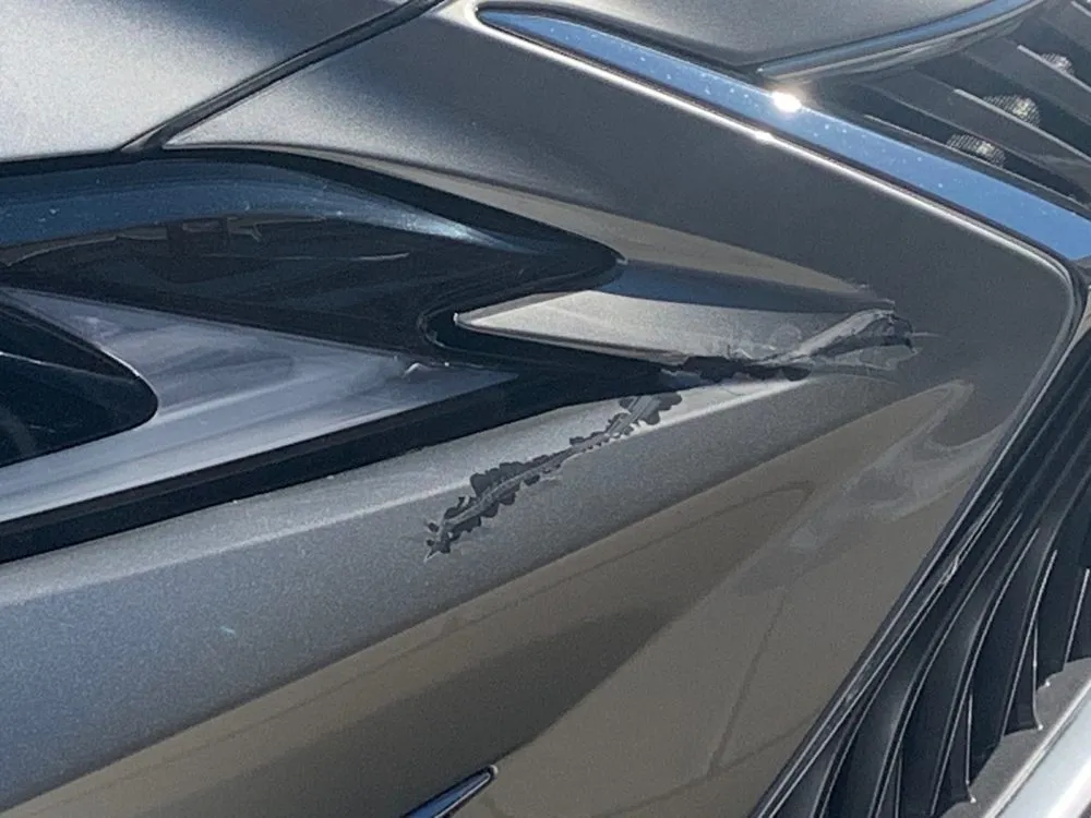 Trusted garden landscaping in Souderton, PA by AMC Nursery & Landscaping