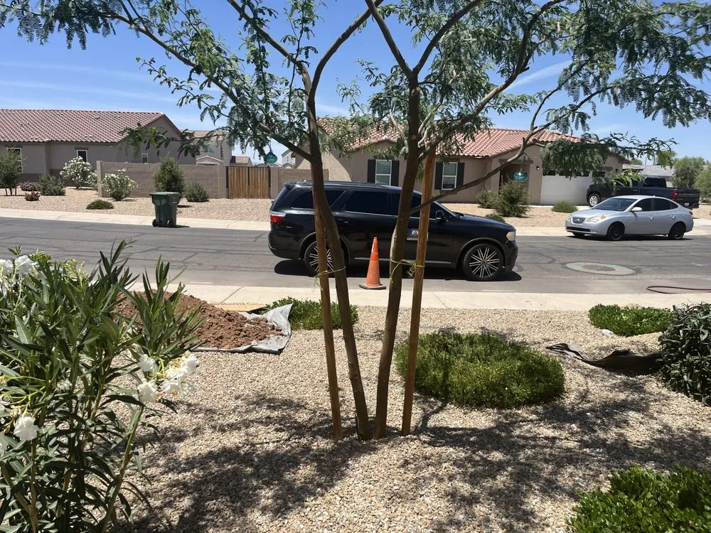 Custom landscape installation for year-round maintenance in Maricopa, AZ by AMCS Handyman Service
