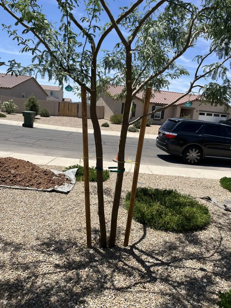 Expert landscaping services experts serving Maricopa, AZ - AMCS Handyman Service