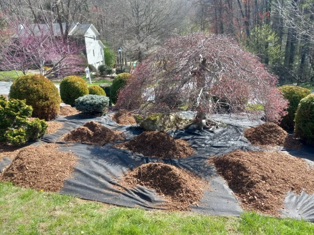 Trusted landscape installation in Hendersonville, NC - AMD Landscaping