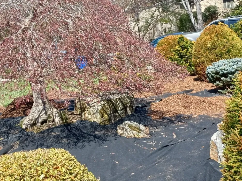 Reliable landscape installation in Hendersonville, NC by AMD Landscaping