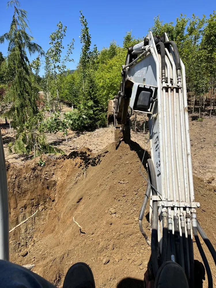 Top-rated lawn care service experts serving Granite Falls, WA - Amderson Services