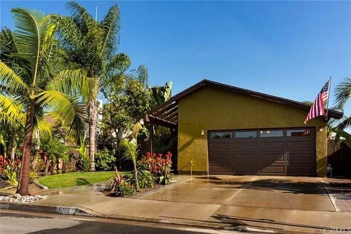 Professional yard maintenance in Anaheim, CA - AMDM Tree Service