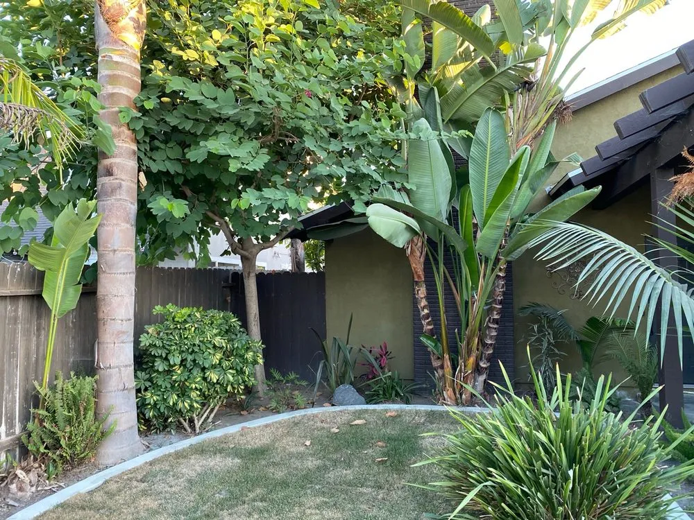 Trusted outdoor landscaping experts serving Anaheim, CA - AMDM Tree Service