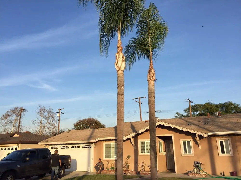 Affordable garden landscaping in Anaheim, CA - AMDM Tree Service
