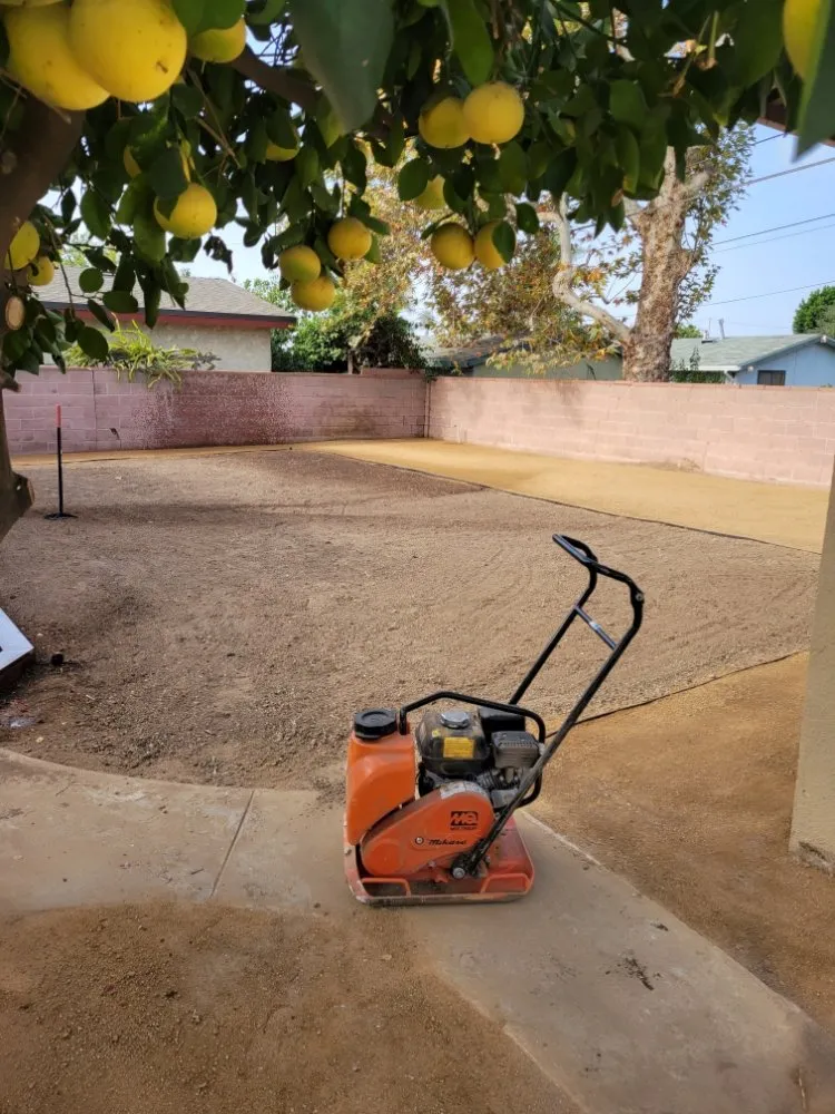 Top-rated yard cleanup service experts serving Anaheim, CA - AMDM Tree Service