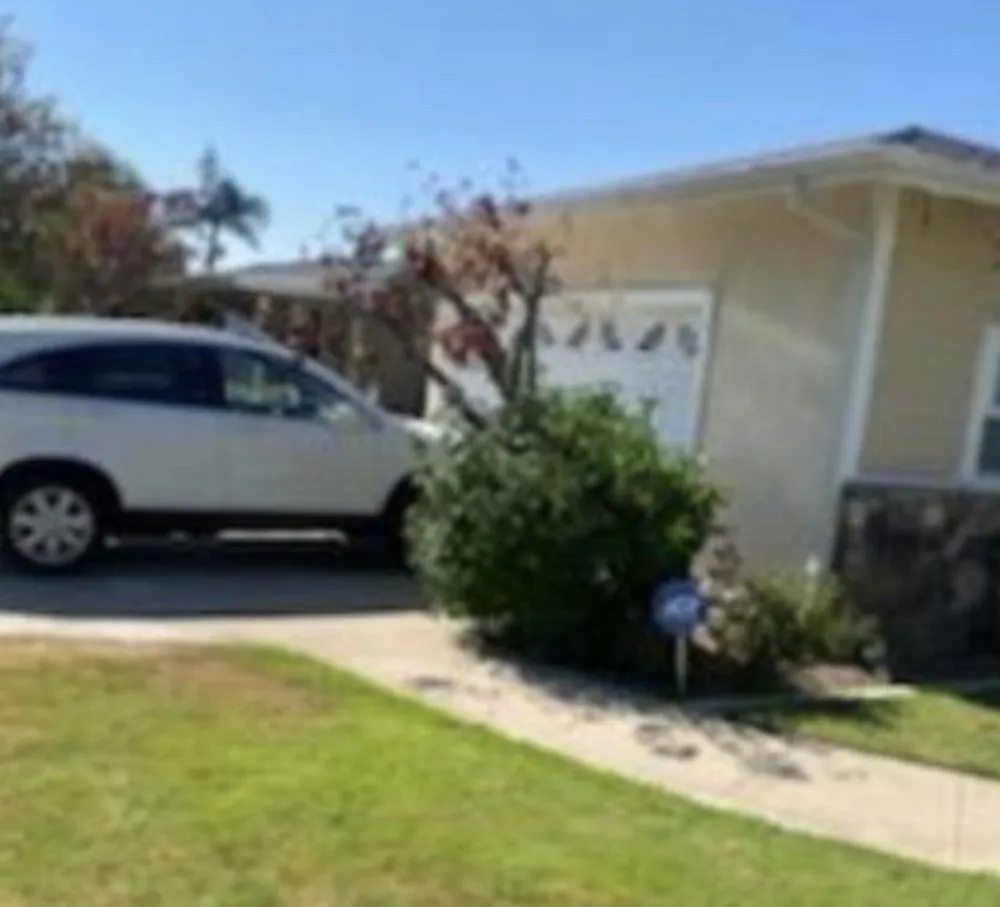 Affordable outdoor landscaping in Anaheim, CA - AMDM Tree Service