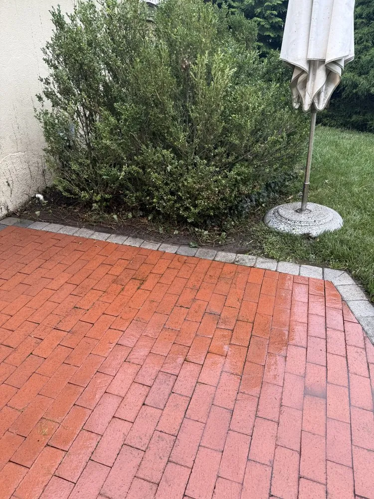 Affordable residential landscaping in Norristown, PA - Ame Heuru