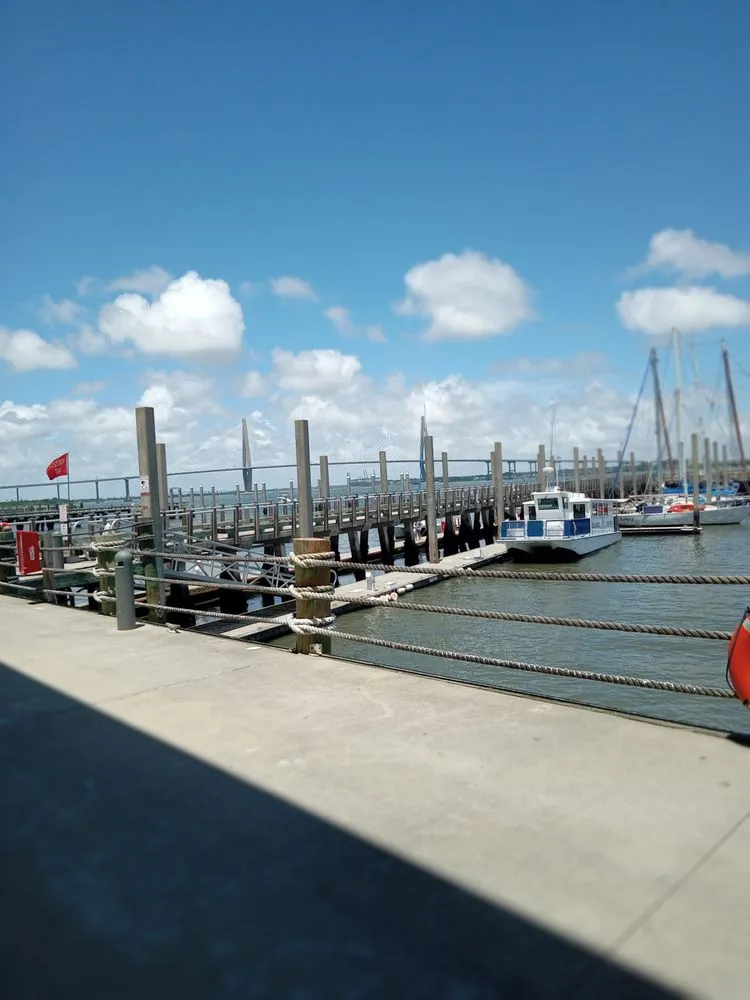 Affordable landscape design experts serving Beaufort, SC - Amean Business