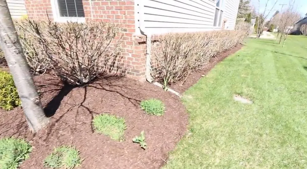 Custom landscape installation experts serving Kent, WA - Ameeri’s Lawn Care