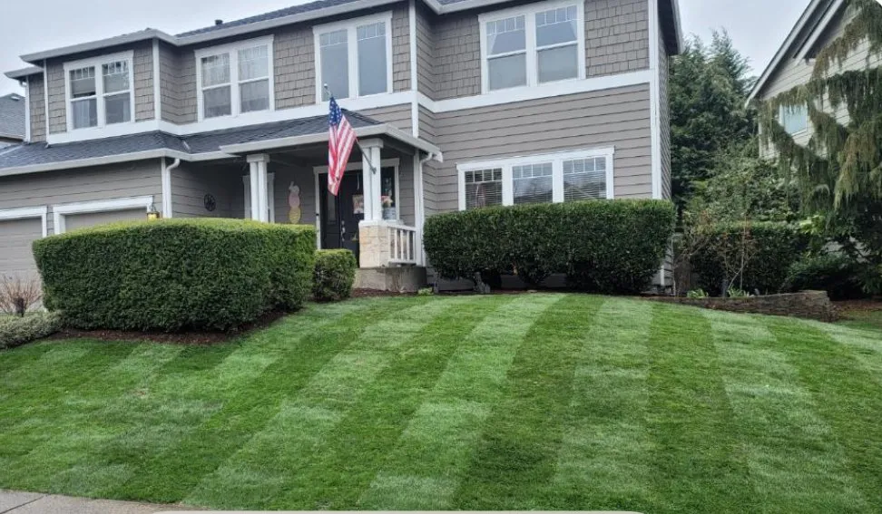 Professional garden landscaping experts serving Kent, WA - Ameeri’s Lawn Care