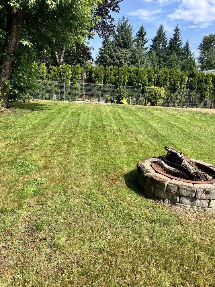 Top-rated residential landscaping in Kent, WA by Ameeri’s Lawn Care