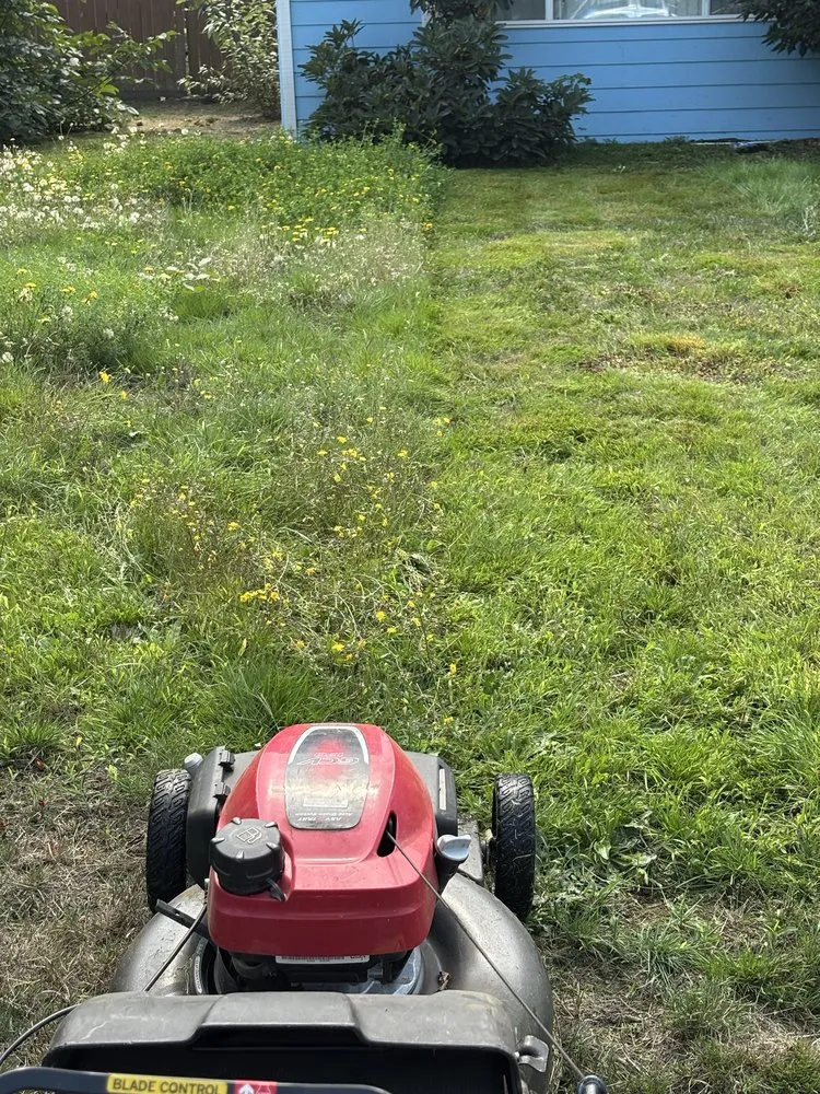 Local yard maintenance experts serving Kent, WA - Ameeri’s Lawn Care