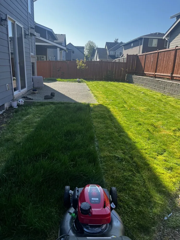 Reliable yard maintenance for beautiful yards in Kent, WA by Ameeri’s Lawn Care
