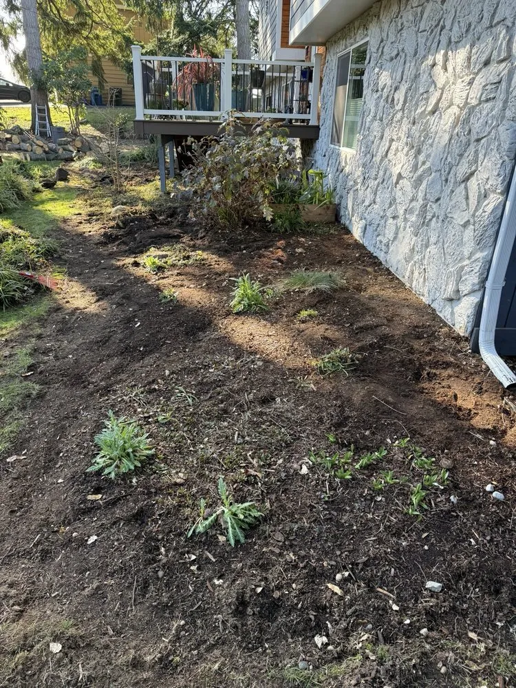 Reliable landscaping services near you across Kent, WA - Ameeri’s Lawn Care