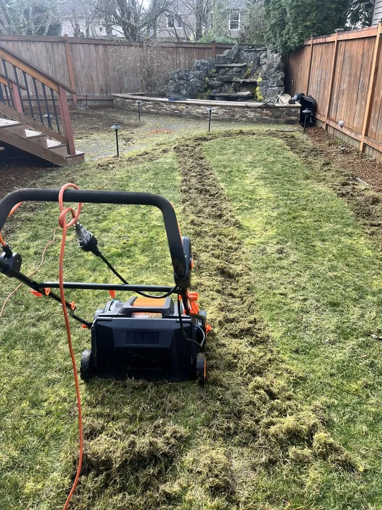 Reliable lawn care service in Kent, WA - Ameeri’s Lawn Care