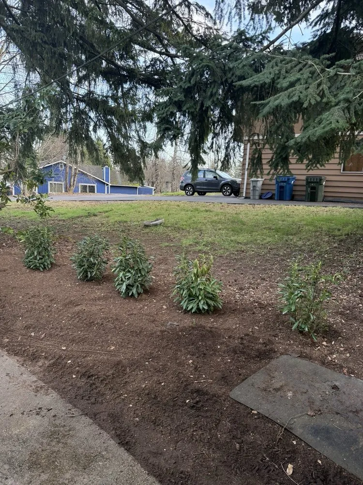 Custom yard maintenance for homes across Kent, WA - Ameeri’s Lawn Care