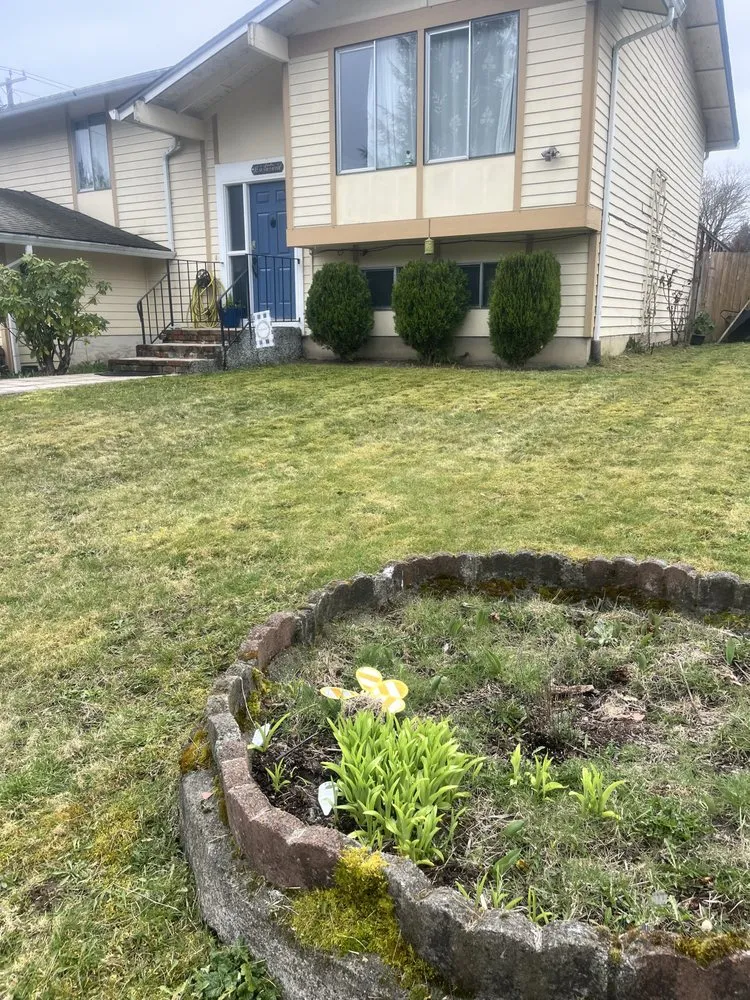 Trusted landscaping services in Kent, WA by Ameeri’s Lawn Care