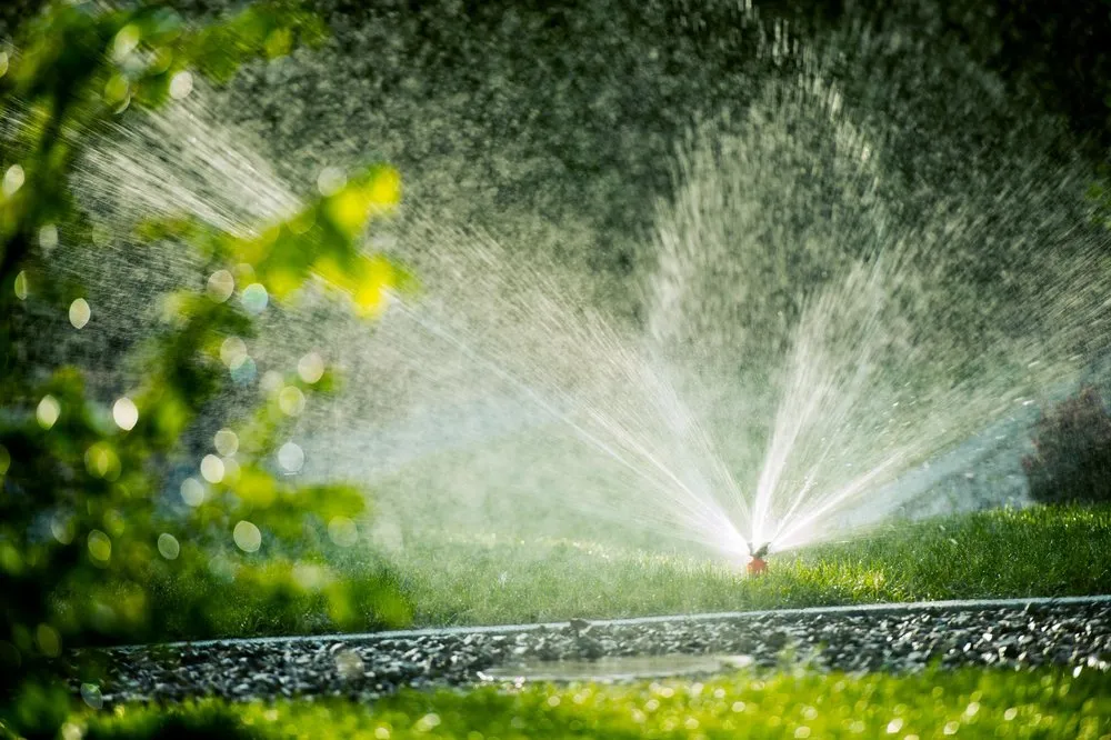 Custom lawn mowing service near you in Amelia Island, FL by Amelia Island Landscaping Pros