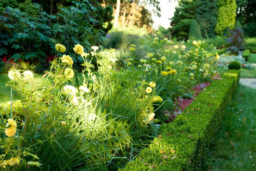 Reliable garden landscaping for year-round maintenance in Amelia Island, FL by Amelia Island Landscaping Pros