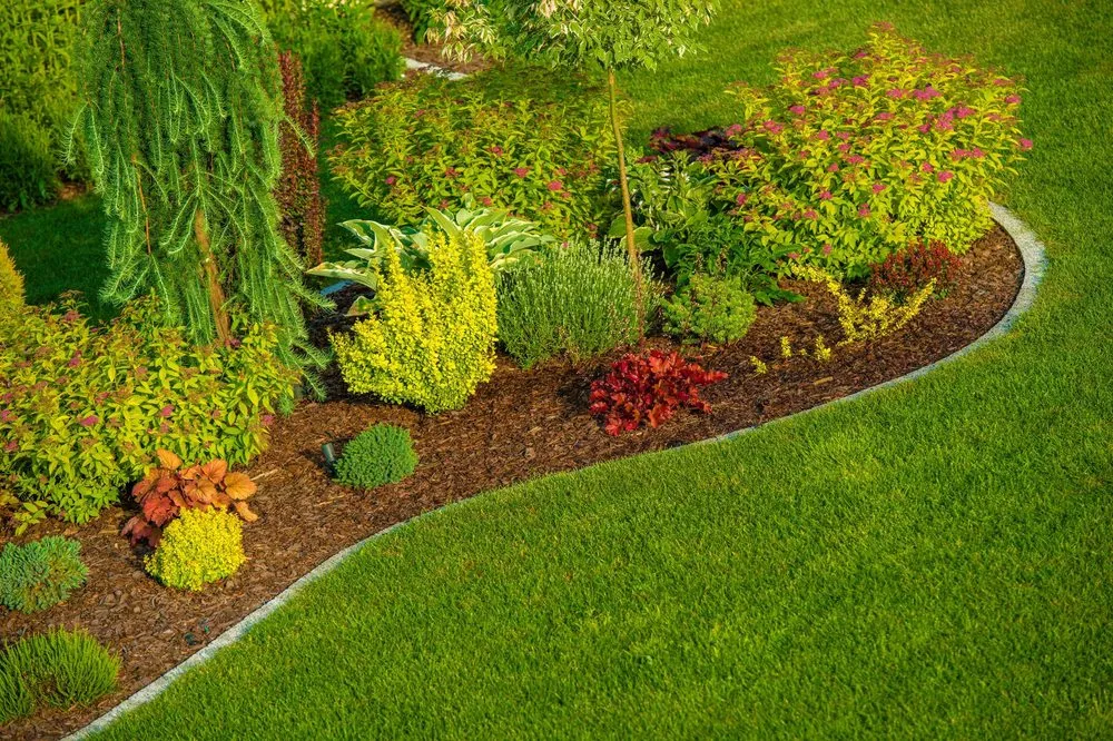 Local yard maintenance experts serving Amelia Island, FL - Amelia Island Landscaping Pros