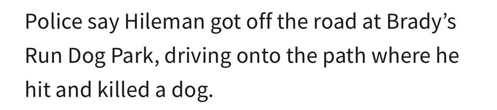 Expert yard cleanup service in Brackenridge, PA by Amen Builders & Landscaping