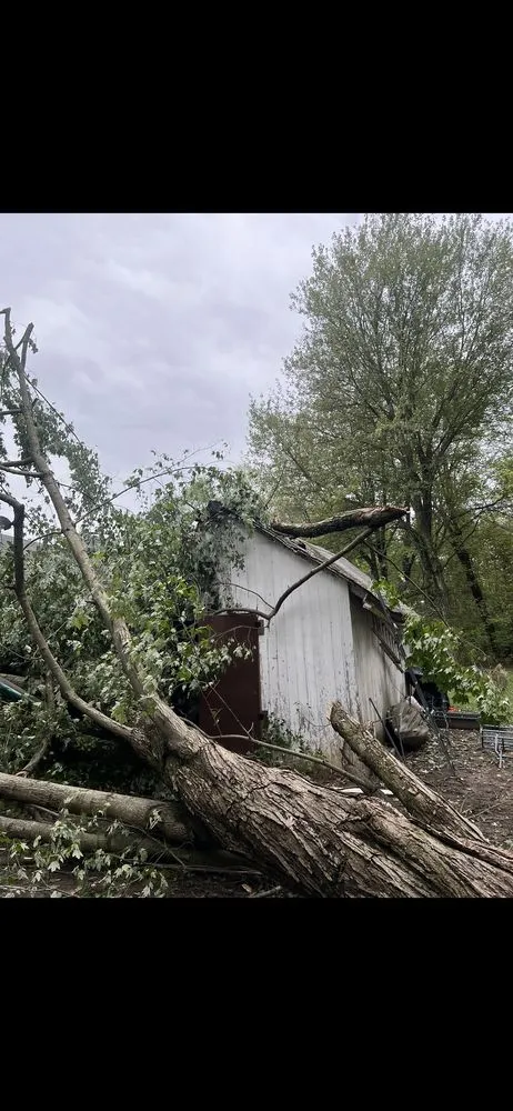 Reliable lawn care service near you in Amelia, OH by Amend Landscape & Design