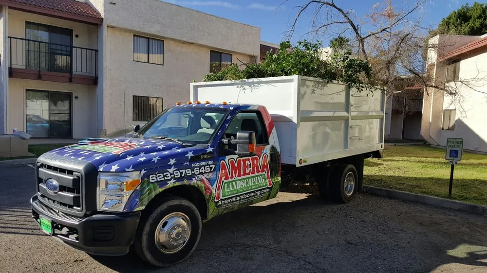 Local landscape design in Youngtown, AZ by Amera Pest Control