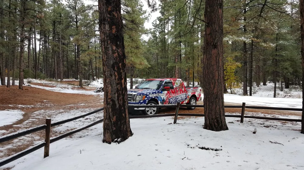 Custom lawn care service in Youngtown, AZ - Amera Pest Control