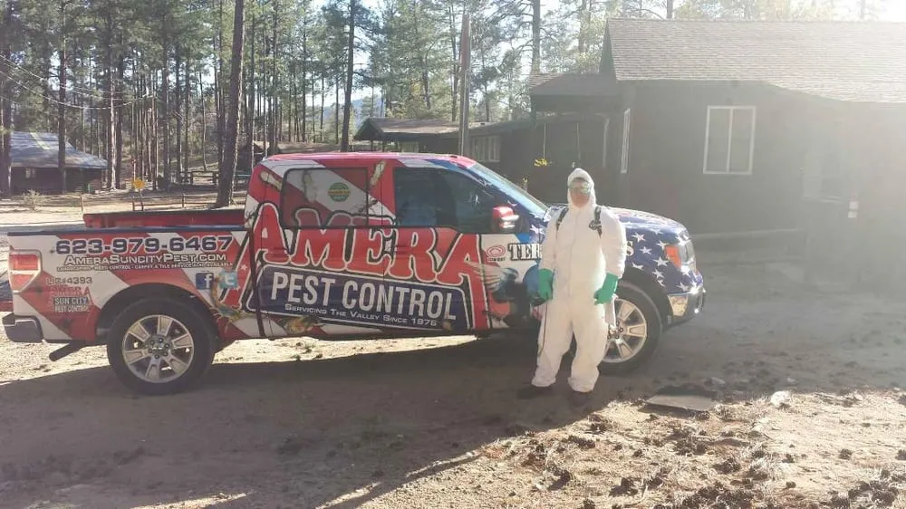 Top-rated yard cleanup service for residential properties in Youngtown, AZ by Amera Pest Control