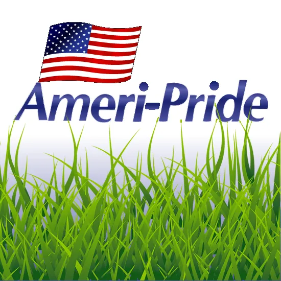 Local lawn mowing service with custom design across Clearwater, FL - Ameri-Pride