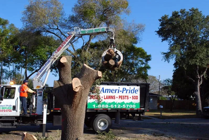Professional lawn care service for residential properties across Clearwater, FL - Ameri-Pride