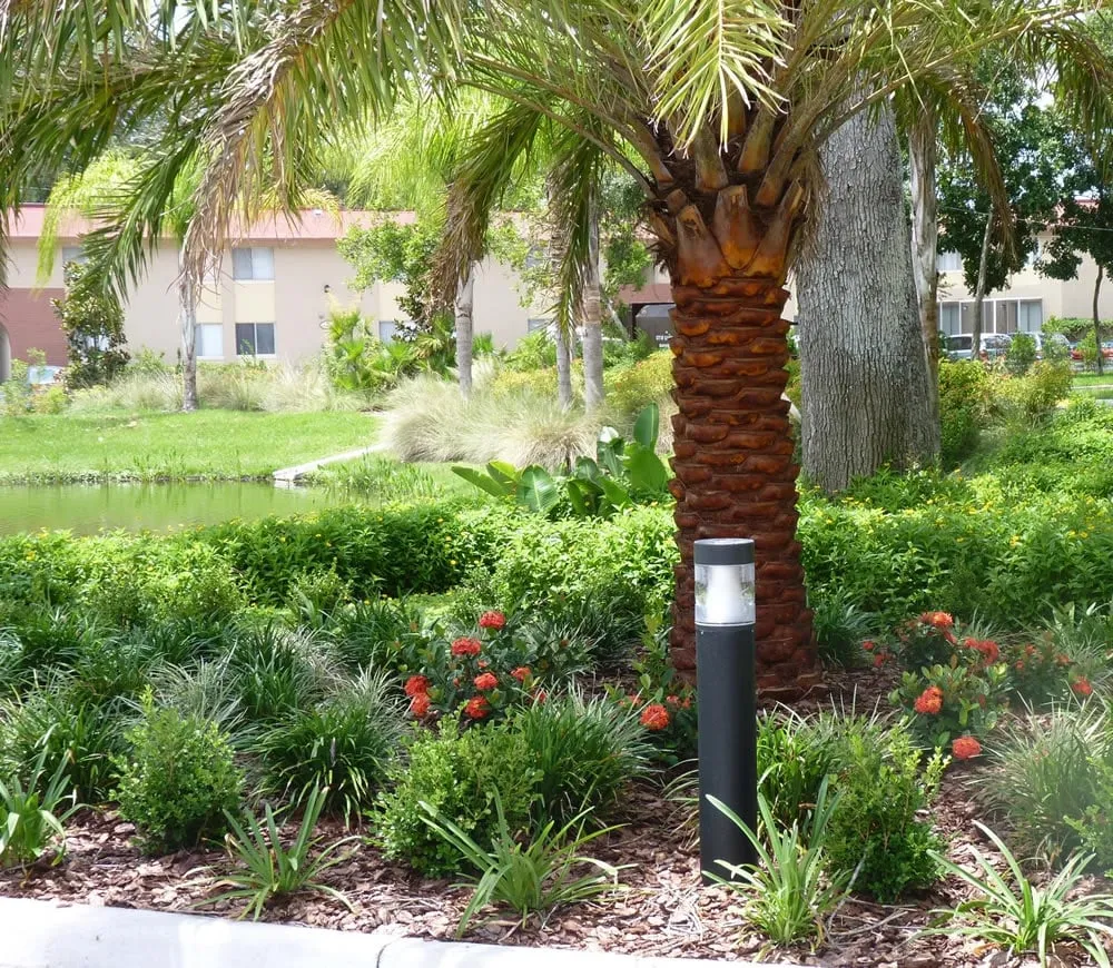 Expert garden landscaping for homes in Clearwater, FL by Ameri-Pride
