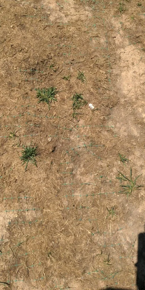 Reliable garden landscaping experts serving Indianapolis, IN - Ameri-Turf