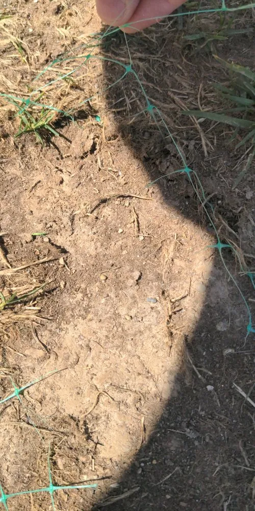 Affordable yard cleanup service for outdoor upgrades across Indianapolis, IN - Ameri-Turf